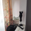 Отель Apartament IRI Băile Herculane, фото 5