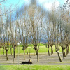 Отель City Express Santander Parayas, фото 19