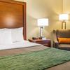 Отель Comfort Inn Duncansville - Altoona, фото 37