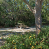 Отель Gulf Place Courtyard 13 Henry Court, фото 26