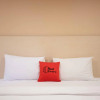 Отель Igloo Hotel, фото 4