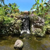 Отель Kaanapali Shores 836, фото 24