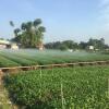 Отель Chau Doc Homestay, фото 5