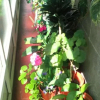 Отель Hostal Real, фото 1
