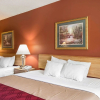 Отель Econo Lodge, фото 20