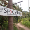Отель Spicytao Backpackers - Adults Only, фото 3