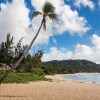 Отель Haleiwa Sunshine 3 Bedroom Home, фото 16