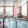 Отель Hakuba Springs Hotel, фото 18