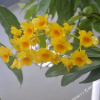 Отель Guohao Zixi Heyuan Hotel, фото 7