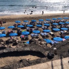 Отель Apartment Alessandra Only 200m From Playa Grande, фото 15