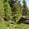 Отель Harz-Rose, фото 21