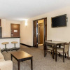 Отель Quality Inn & Suites, фото 3