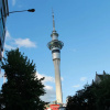 Отель Living At The Center Of Auckland CBD, фото 25