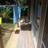 Отель Okinawa Old House Inn Fuuran, фото 8