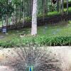 Отель Fazenda Monte Verde Golf & Resort в Домингус-Мартинсе