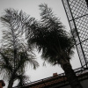 Отель Riad Osefina, фото 1