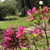 Отель Il Lauro B&B, фото 22