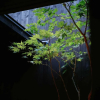 Отель Kyoto Machiya Zeniyacho, фото 23