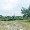 Отель Holiday Home in the Dunes of Burgh-haamstede With a View of the Lighthouse, фото 16