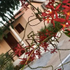 Отель Pousada Vale Encantado, фото 1