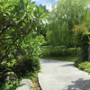 Отель Green Willow House, фото 26