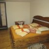 Отель Pensiunea Nagy, фото 18