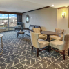 Отель DoubleTree by Hilton Hotel Decatur Riverfront, фото 18