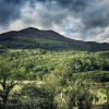 Отель Celyn - Snowdonia Cottage, фото 11