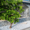 Отель Apartments Sea And Sun, фото 21