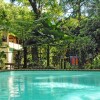 Отель Red Mill House in Daintree, фото 14