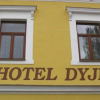 Отель Dyje, фото 1