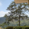 Отель Ella Hotel Upper Hill, фото 5