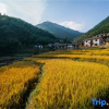 Отель Home stay on cloud in Tonglu, фото 15