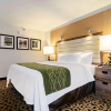 Отель Comfort Inn Raleigh Midtown, фото 23