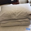 Отель Spring International Hotel, фото 13