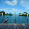 Отель Conch Key Fishing Lodge and Marina, фото 16