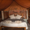 Отель Musango Safari Camp - All-Inclusive, фото 6