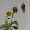 Отель B&B Porto Levante, фото 8