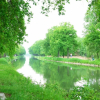 Отель B&B Bosheide, фото 6
