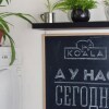 Гостиница Koala hostel, фото 17