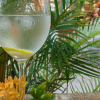 Отель Boutique La Pergola, фото 37