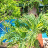 Отель New Apartment Private Pool and Terrace, фото 18