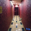 Отель Shibing Grand Hyatt Hotel, фото 4