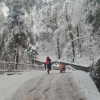 Отель Holiday Grand Resort Bhurban, фото 16