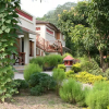 Отель Tiger Camp Resort - a River Access Property, фото 13