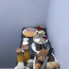 Отель Bed and Breakfast The Rose, фото 13