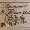 Отель Appartamento Biancospino в Аббадия-Сан-Сальватаре