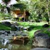 Отель Buena Onda Jungle Lodge, фото 19