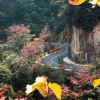 Отель Blossom Garden Resort, фото 20