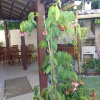 Отель Residencia Colibri apto 07, фото 21
